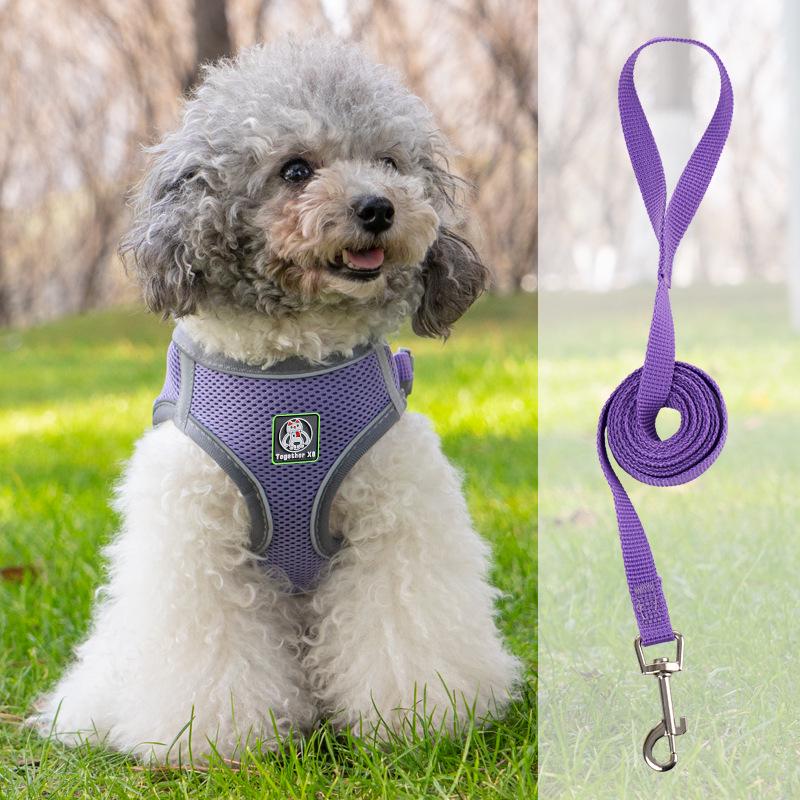 Vest-Style Harness and Leash Set for Small Dogs: Bichon, Teddy, Pomeranian