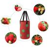 3 Pcs 3 Gallon Hanging Strawberry Planter Breathable Felt Material Tomato Grow Bag Garden Upside-Down Vegetable Planting Bags