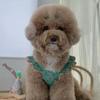 Flying Sleeve Dog Summer Vest Floral Pet Dresses Comfortable Pet Clothes  Puppy