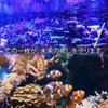 ALOHI Saltwater Aquarium Water Quality Test Easily Check for Saltwater Fish and Corals with This Saltwater Aquarium Water Quality Test Measures Total