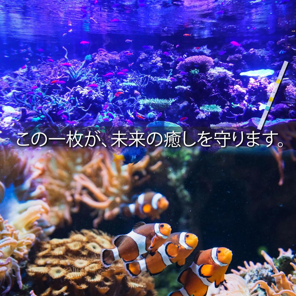 ALOHI Saltwater Aquarium Water Quality Test Easily Check for Saltwater Fish and Corals with This Saltwater Aquarium Water Quality Test Measures Total