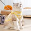 Cat Spring and Summer Thin Breathable Three-dimensional French Fries Backpack Traction Striped Vest Dog Small Dog Pet Clothes