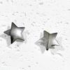 1 Pair Hairpins Five-Pointed Star Shape Hair Clips Metal Texture Side Bang Hair Pins Fade-Resistant Hair Accessory