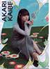 Nogizaka46 Clear File NOGI CAFE 2025 Umibe Shuri