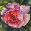 5D DIY Diamond painting Romantic flowers full diamond square/round diamond embroidery cross-stitch set home wall decorative art