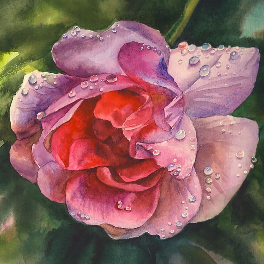 5D DIY Diamond painting Romantic flowers full diamond square/round diamond embroidery cross-stitch set home wall decorative art