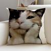 P-Funny Cat Meme Cushion Cover Natural Linen Pillowcase Set, All-In-One Decor For Sofa, Bedroom & Chair