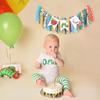 Caterpillar High Chair Banner - Very Hungry Caterpillar 1st Birthday Banner, Photo Backdrop for Baby's 1st Birthday Party Decorations