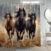 Banyo ve tuvalet – Duş Perdeleri