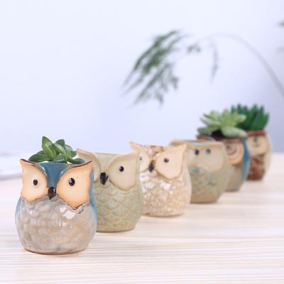 1pcs Personality Succulents Flower Pot Owl Animal Small Flower Pot Creative Cute Thumb Pot Ceramic Hole