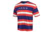 Air Jordan T Shirts Men's Multicolor Crew Neck Moderate Straight Fit CK9572-455