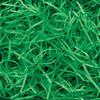 Shredded Paper Green 0.5 Kg