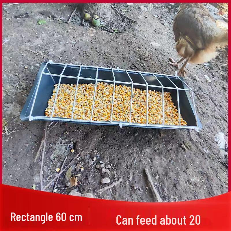 Automatic Free-Range Chicken, Duck, and Goose Feeder - Spill-Proof, Durable, and Carefully Designed