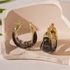European And American Retro Brown Resin Letter U-shaped Geometric Hoop Earrings For Women Fashion Simple Metal Jewelry Gifts