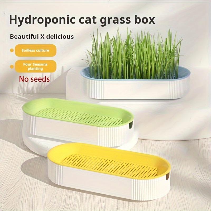 1pc New hydroponic box cat snack cat grass seed planting set separated soilless hydroponic cat grass