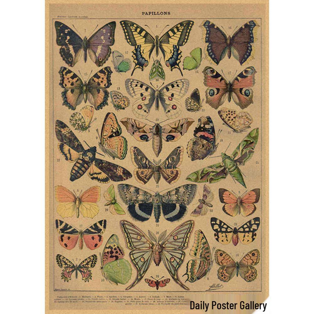 Retro Schmetterlings-Illustrationsposter: Handbemalte Tier-Wandkunst im Vintage-Stil, europäisch & amerikanisch