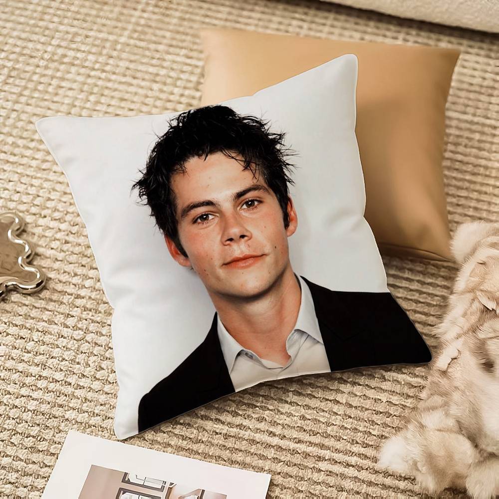 D-Dylan O Brien Pillow Case Anti-dustmite Invisible zipper Sofa Bed