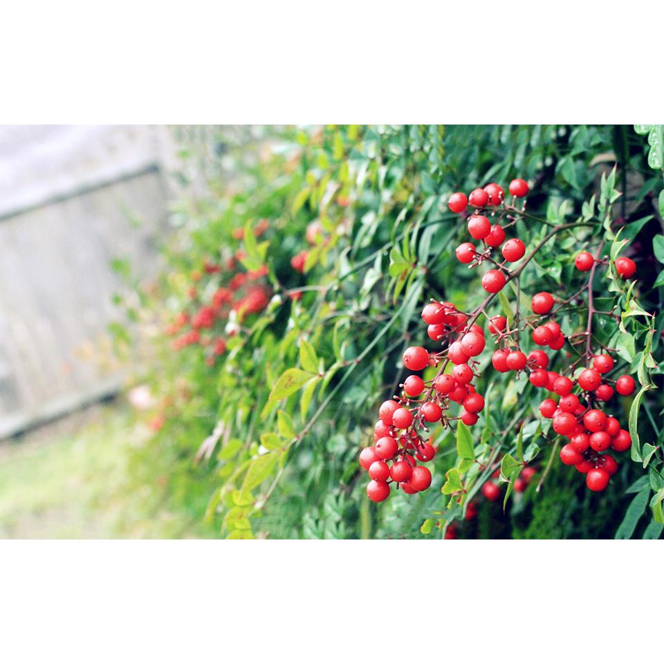 Landscape DIY5D Diamond Painting Rhinestone Pictures Mosaic Landscape Cross Stitch Kit