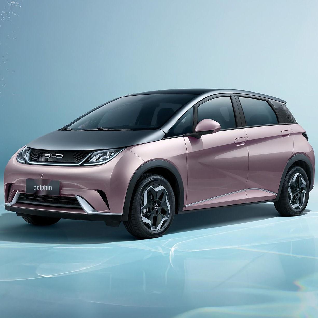 

BYD Dolphin Knight Electric Car Mudguard Modification Set