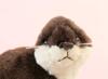 Takeoff Otter Creeping Type S Dark Brown