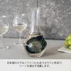 Hario Cool Carafe 360ml Transparent and Perfect for Chilling or As a Wine Decanter with Ice Perfect As a Milk Pitcher or Ice Perfect As a N, Capacity,