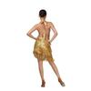 Women's Sequin Fringe Latin Dance Dress Set Performance Costume