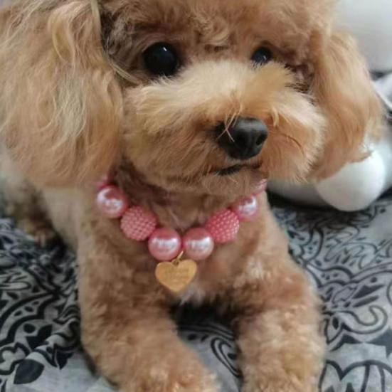 Hunde Halsband Liebesherz Anhänger Haustier Schmuck Harz Mode Hunde Kunstperlen Halsband Schlaufe Haustier Zubehör