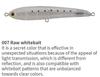 Maria Rapido F130 30 grams Floating Lure B04C (3724)