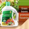 General-Purpose Hydroponic Nutrient Solution for Indoor Flowers and Green Plants