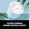 Filtro di ricambio per purificatore d'aria Puro 240, Filtro HEPA True 3-in-1 per fumo, polline, polvere e inquinanti domestici comuni
