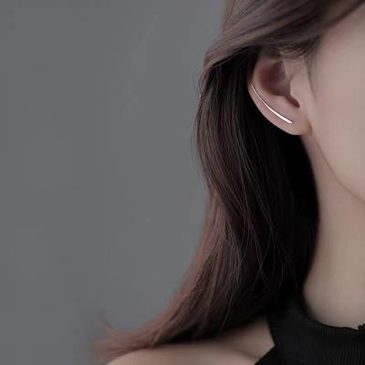 The Same Stud Earrings, New Models In The Year, Trendy Niche Design Ear Hooks