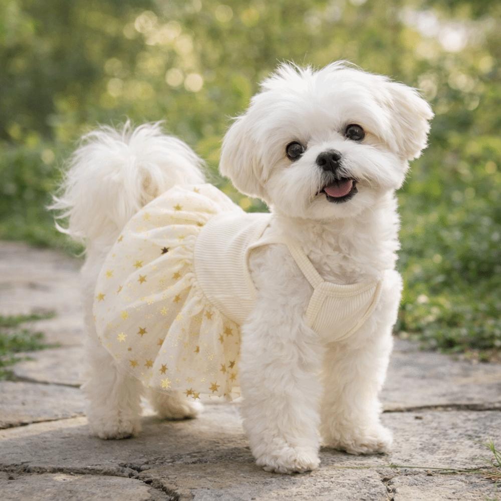 Breathable Puppy Princess Dress Korean Style Pet Strap Puff Skirt Sweet Pet Clothing  Daily Wear