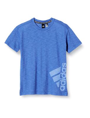 Short Sleeve for Badge of Summer Short Sleeve Team Royal Blue Equivalent To Japanese Size 140 T-Shirt Kids, Sports, T-Shirt, JKX67,