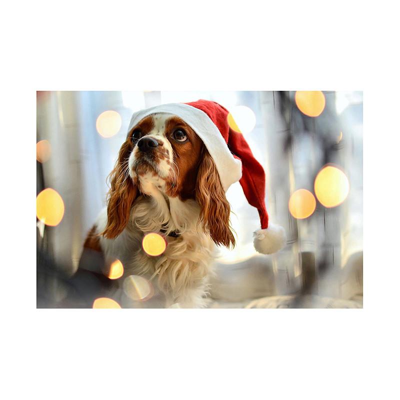 

Рождественский фотофон на тему домашних животных, баннер для вечеринки, настенный декор, для фона для вечеринок, праздничный декор, фотостудия 100x150cm