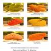 Simulation Leaves Plush Hug Pillow Cartoon Maple Leaves Soft Stuffed Plant Soft Plushies Kids Toys For Girls Home Decor