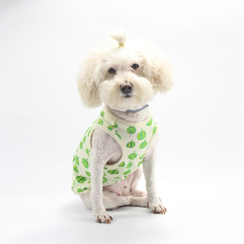 Fruit print Pomeranian teddy clothes, cute and thin medium and small dog pet vests, starting from 2 pieces after clearance.