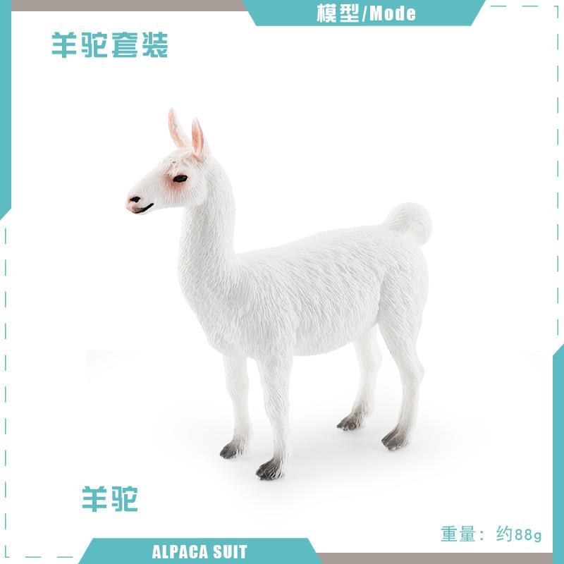Wild Animal Alpaca Miniatures Solid Simulation Model Figures Home Decor Zoo Education Toy Collection Ornaments Kids Gifts