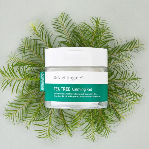 NIGHTINGALE Tea Tree Calming Toner Pad 60 Sheets