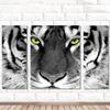 DIY 5D  Tiger Lion Rhinestone Cross Stitch Decorative Painting