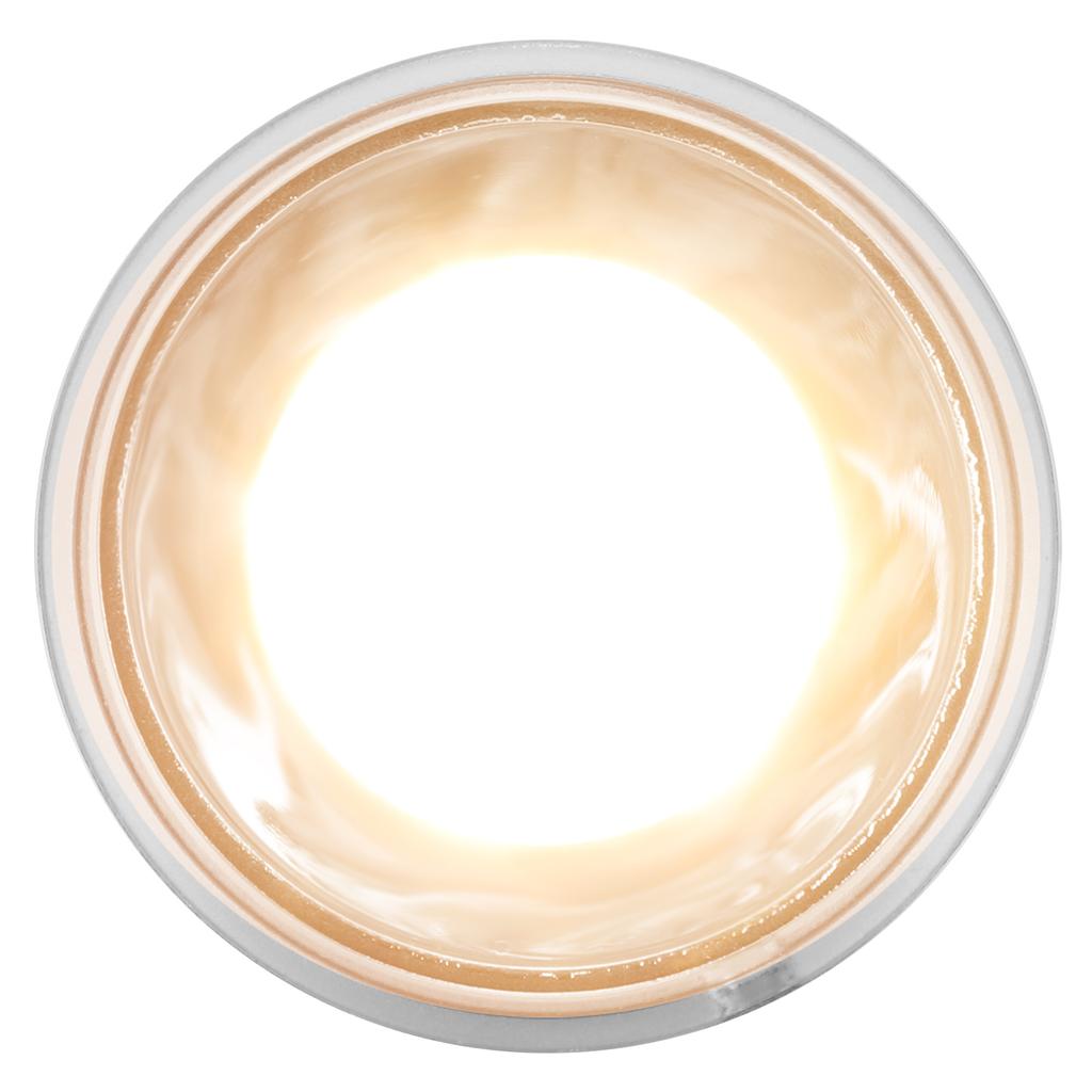 Reptiles Sun Basking Heating Lamp Bulbs Amphibian UBA UVB Sunbathe Bulb for Lizard75W 220V