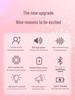 Zhou Da Yu Little Bee Portable Wireless Amplifier for Teachers and Tour Guides