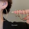 Silver Needle Metal Earrings, Fashionable and Simple, Versatile Temperament Earrings, Earrings, Pendants, Niche Design Earrings.
