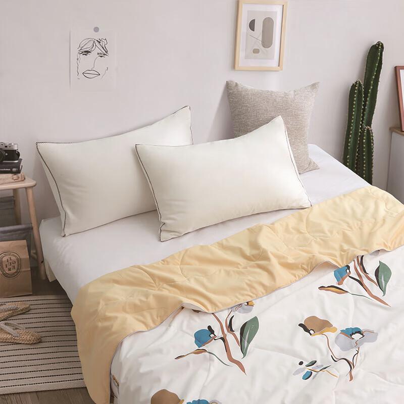 

Jie Li Ya Printed Antibacterial All-Season Quilt