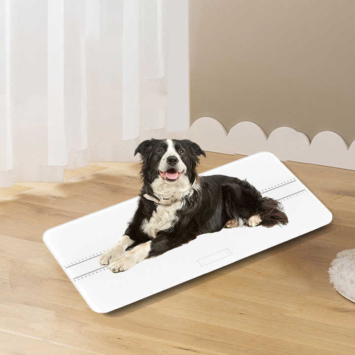 High Precision 10g Pet Scale 20kg Digital Weighing Scale for Cats Dogs Parcels Postal Shipping Electronic Kitchen Scale