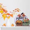 Fall Decorations For Home, Rustic Wooden Blessed GratefulHello Pumpkins Tabletop Sign Thanksgiving Decoration, For  Party