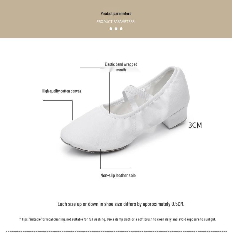 Damen Tanzschuhe ohne Schnürsenkel mit Absatz - Weiche Sohle für Ballett, Yoga, Bauchtanz, Erwachsene, Lehrer und zum Üben.