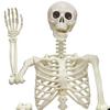 Halloween Skeleton Statue Skeleton Man Walking Dog Resin Ornament Spooky