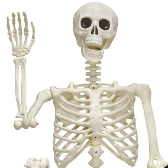 Halloween Skeleton Statue Skeleton Man Walking Dog Resin Ornament Spooky