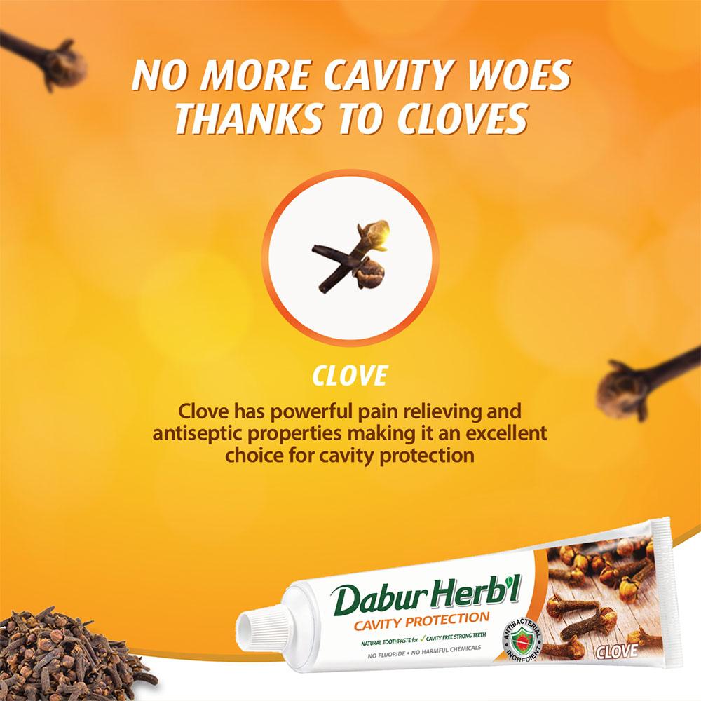 Dabur Herb'l Toothpaste Clove, 150 G