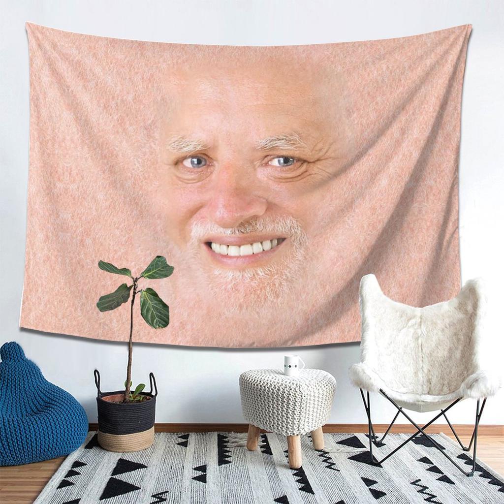Hide The Pain Harold Meme Tapestry Wall Hanging Aesthetic Home Decoration Tapestries for Living Room Bedroom